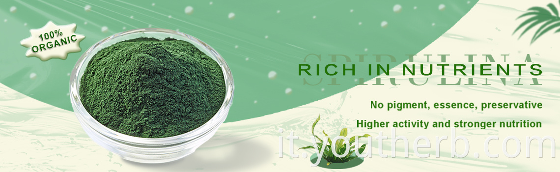 100% Organic spirulina powder